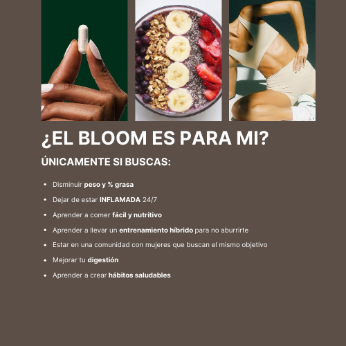 BLOOM FAT BURN / PROGRAMA INTEGRAL 28 DÍAS